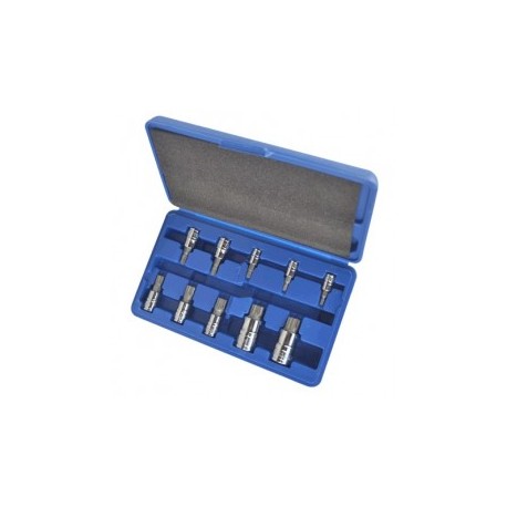 Puntas Intercambiables 10 Piezas Hoteche Xzn10