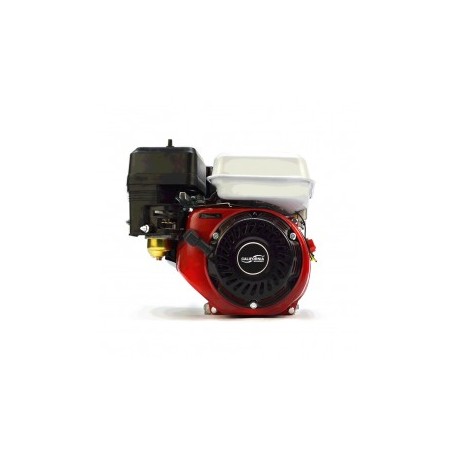Motor Gasolina 5.5 Hp 3,600 Rpm Cuñero 4 Tiempos California Machinery CALT168F
