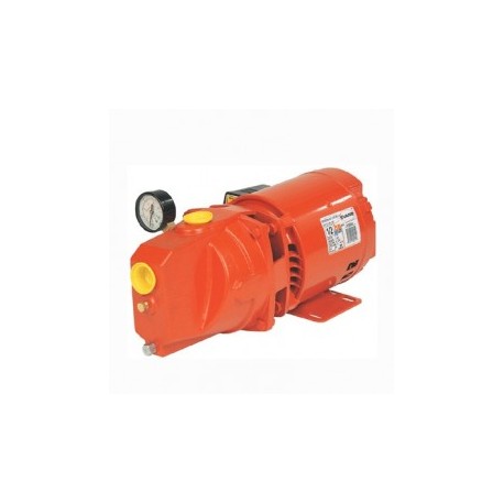 Motobomba Jet 3/4 Hp 1 1/4" X 1" Con Switch Y Manometro Evans Jx2Me075E