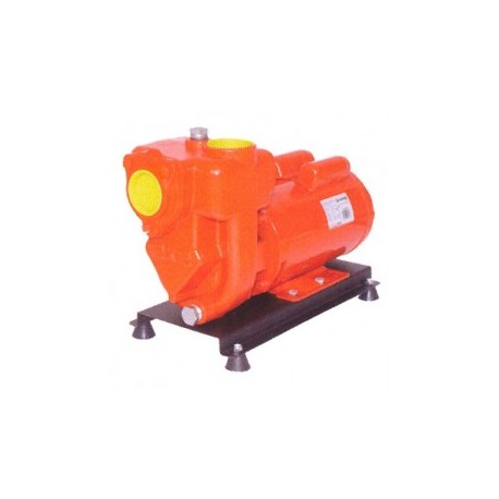 Motobomba Electrica Autocebante 2 Hp 2 X 2" Trifasica Evans Vac2Me0200A