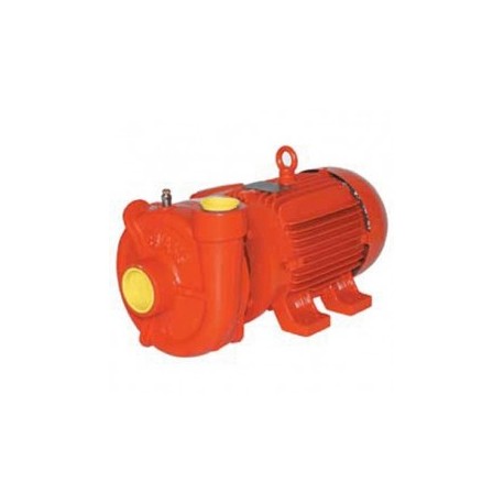 Motobomba Electrica Industrial 3 Hp 2 X 1 1/2" Bifasica Evans V5Ime300