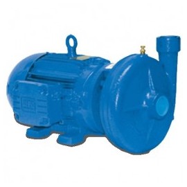Motobomba Industrial 3 Hp 11/2 X 11/4" Evans Mt1Ame0300