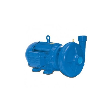 Motobomba Industrial 5 Hp 11/2 X 11/4" Evans Mt1Ame0500