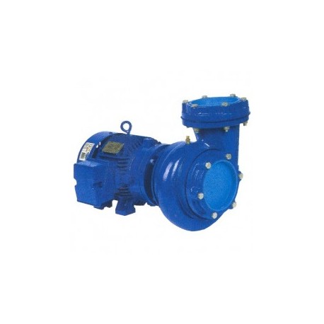 Motobomba Industrial 10 Hp 6 X 6" Trifasica P.Super Evans Vmt6Me10004