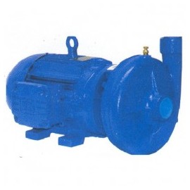 Motobomba Industrial 3 Hp 2" X 2" Evans Mt2Ame0300