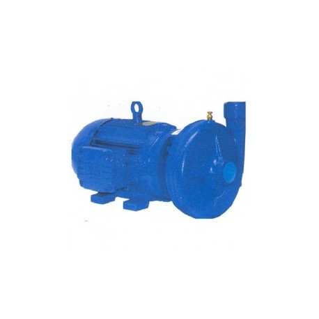 Motobomba Industrial 10 Hp 2" X 2" Evans Mt2Ame1000