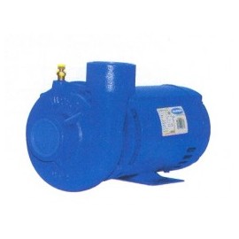 Motobomba Industrial 3 Hp 2" X 2" Evans Mt2Me300