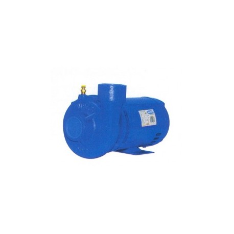 Motobomba Industrial 3 Hp 2" X 2" Evans Mt2Me300